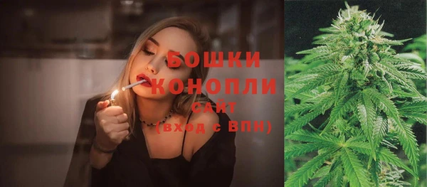 дживик Гусиноозёрск