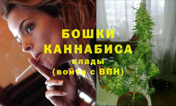 дурь Дмитровск