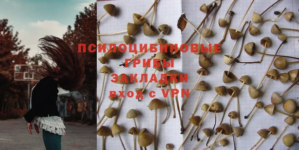 дживик Гусиноозёрск