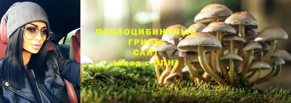 mdma Гусев