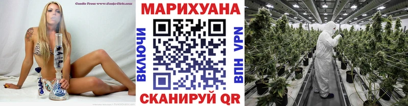 Шишки марихуана план Лысково