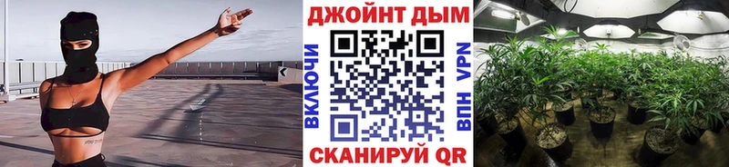 Шишки марихуана индика  Купить где  Лысково 